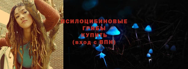 прущие грибы Белоозёрский