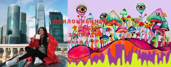 ГАЛЛЮЦИНОГЕННЫЕ ГРИБЫ Беломорск