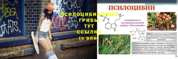 синтетический гашиш Белокуриха
