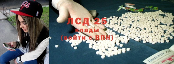 прущие грибы Белоозёрский