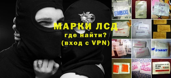 прущие грибы Белоозёрский