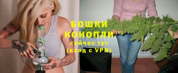 ГАЛЛЮЦИНОГЕННЫЕ ГРИБЫ Беломорск
