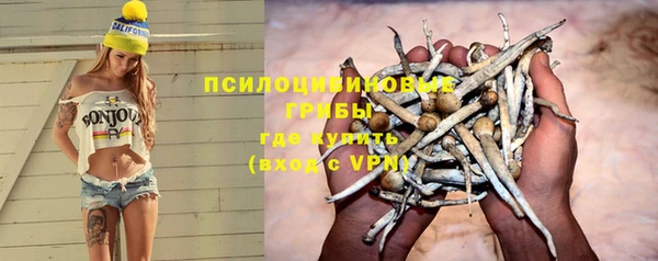 ГАЛЛЮЦИНОГЕННЫЕ ГРИБЫ Беломорск