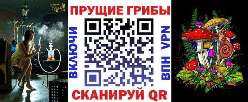 как найти закладки  Гдов  Галлюциногенные грибы Psilocybe 